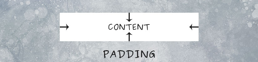 CSS Padding